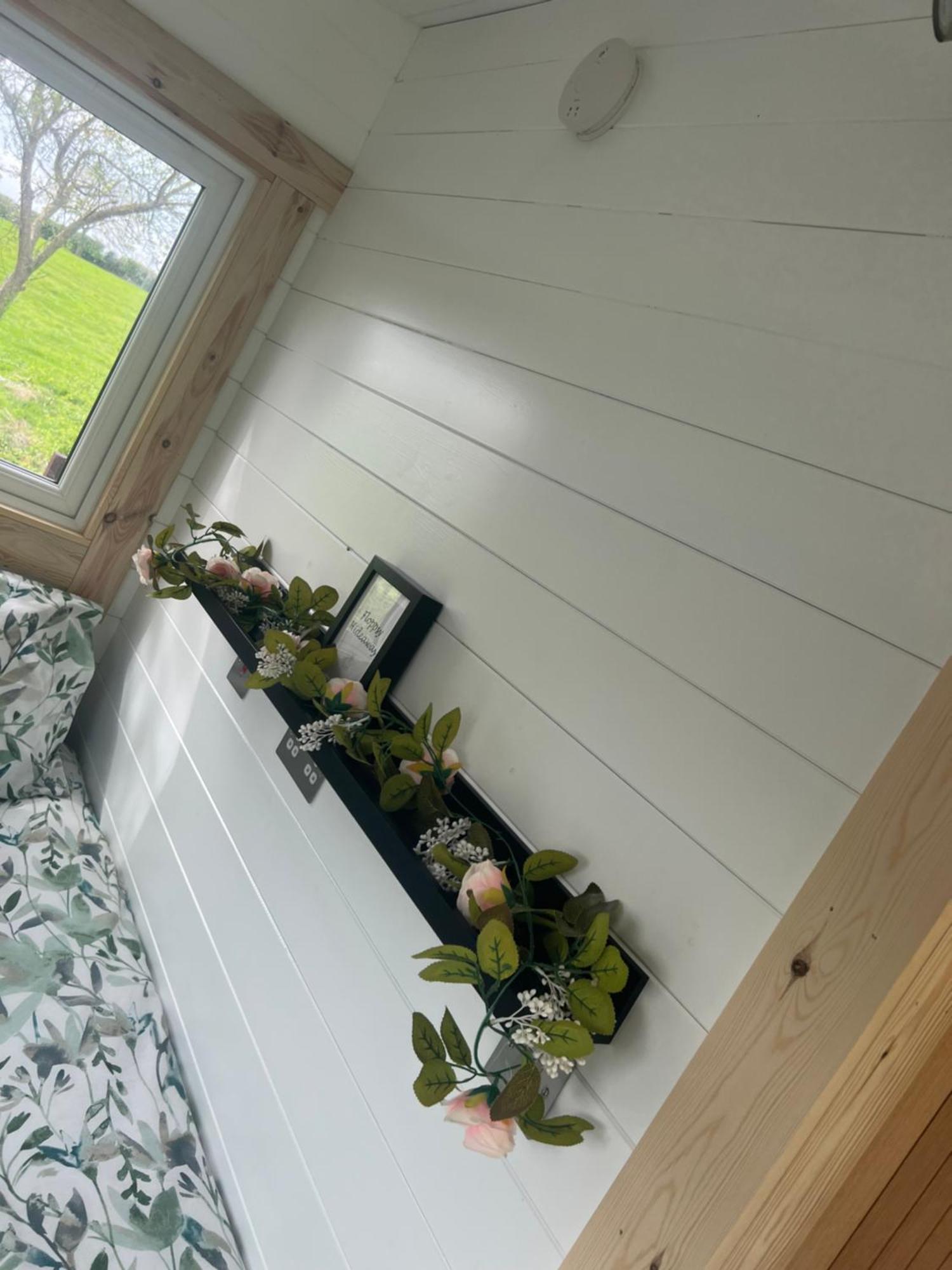 Little Bunny Retreat Hotel Bradmore  ภายนอก รูปภาพ